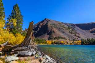 Virginia Lake & Mt. Olson-4826.jpg